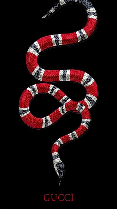 what breed is the gucci snake